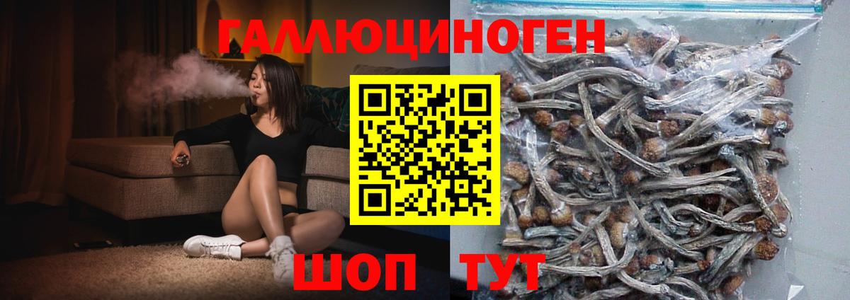 Ижевск  Галлюциногенные грибы мухоморы  Вход с VPN 